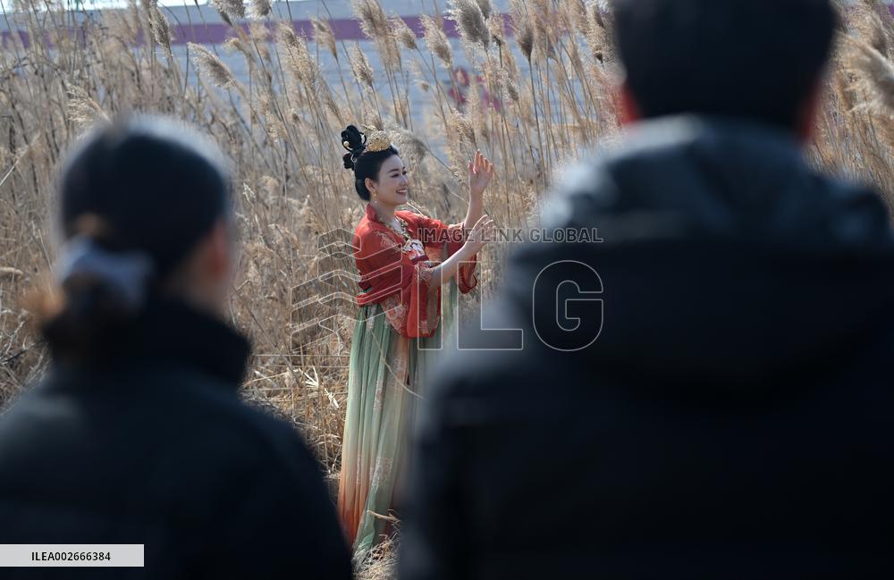 (MASTER OF CRAFTS) CHINA-TIANJIN-MA'S FILIGREE MOSAIC ART-INHERITOR (CN)