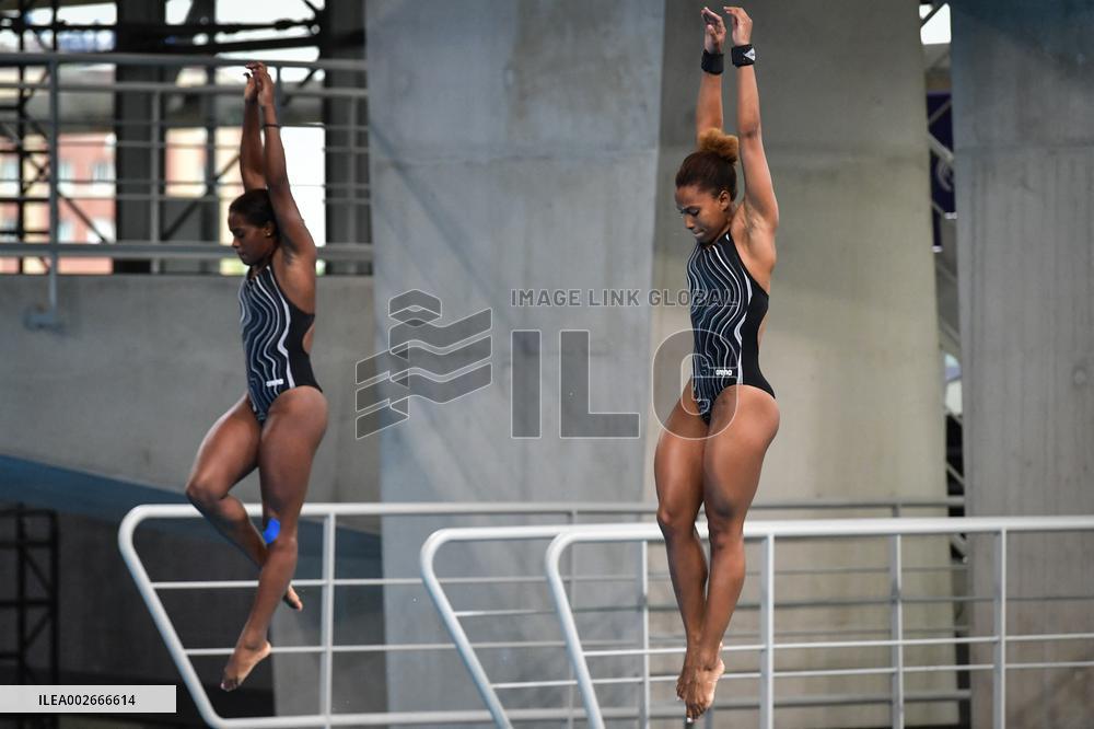 International Diving Championship in Paris 2024 FA