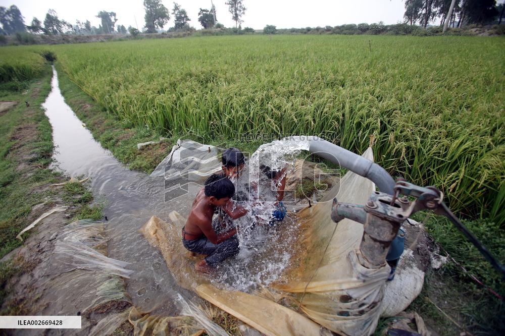 Daily Life In Bangladesh