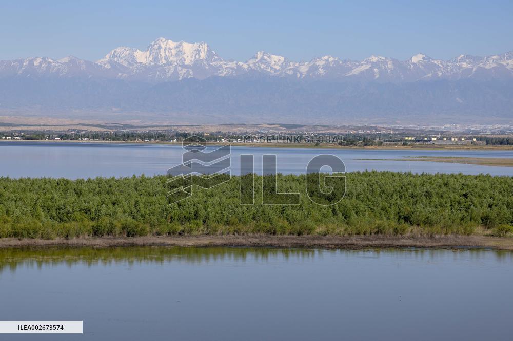 CHINA-XINJIANG-WUJIAQU-URBAN GREEN SPACE(CN)