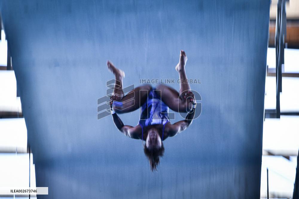 International Diving Championship in Paris 2024 FA