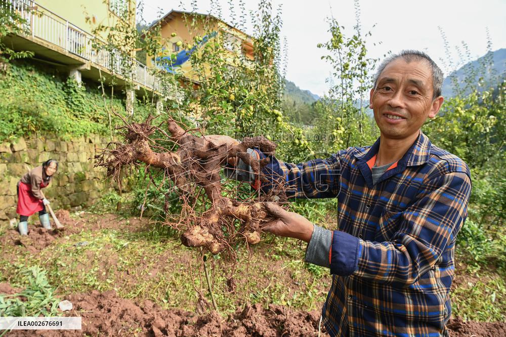 CHINA-CHONGQING-DISTINCTIVE INDUSTRIES (CN)