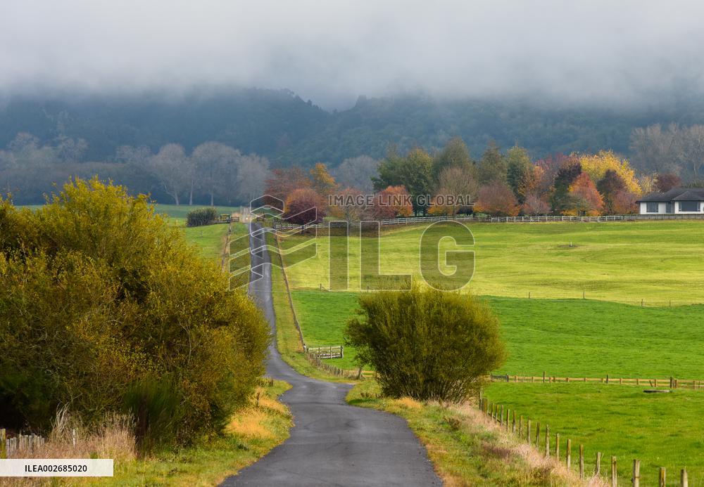 NEW ZEALAND-NORTH ISLAND-AUTUMN-SCENERY