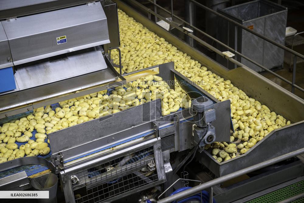 Emmanuel Macron Visits A McCain Factory In The Marne Region