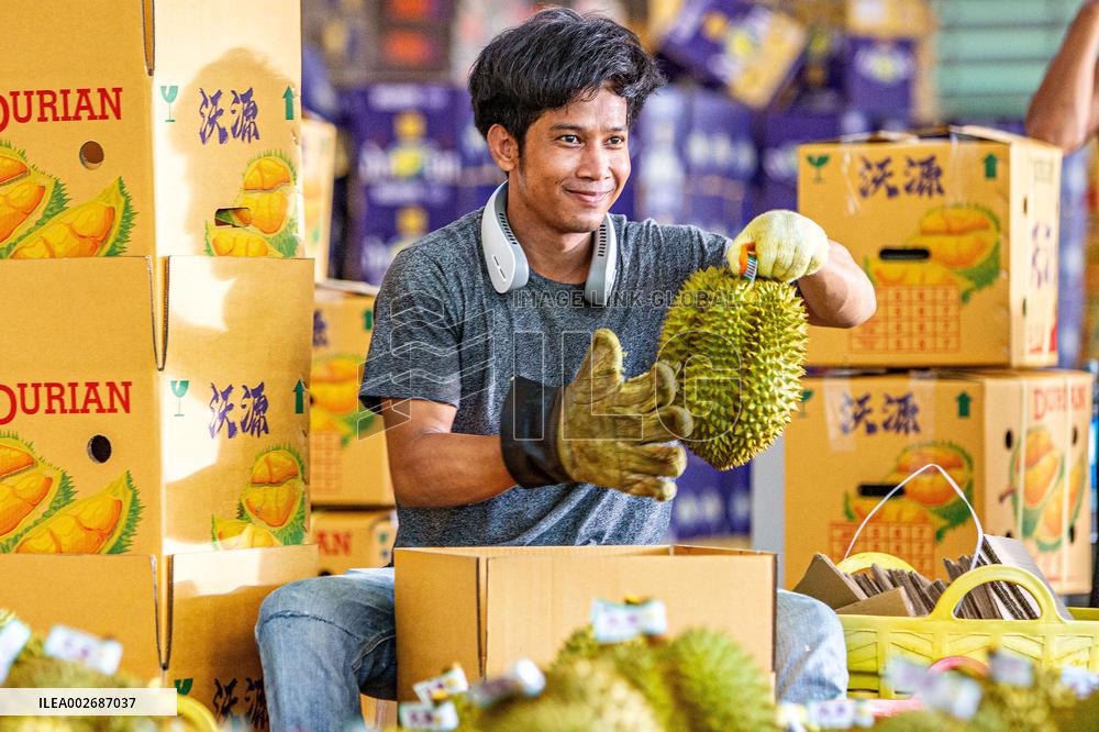 XINHUA PHOTOS OF THE DAY