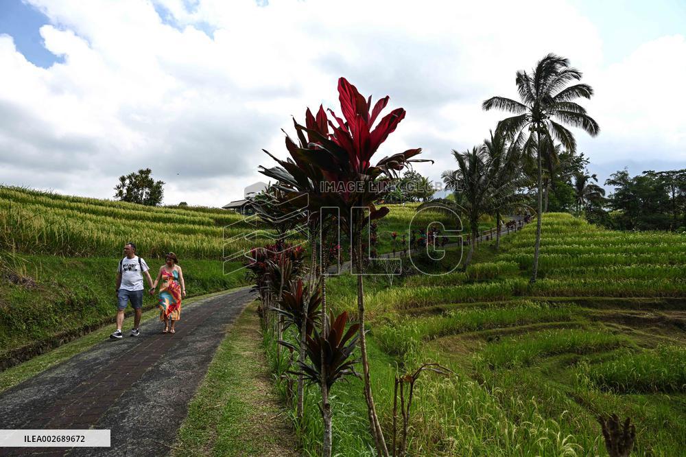 INDONESIA-BALI-JATILUWIH RICE TERRACES