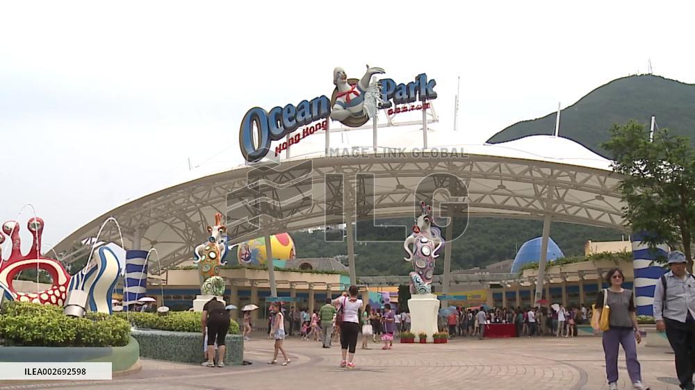 Visitor arrivals to Hong Kong double in first 4 months