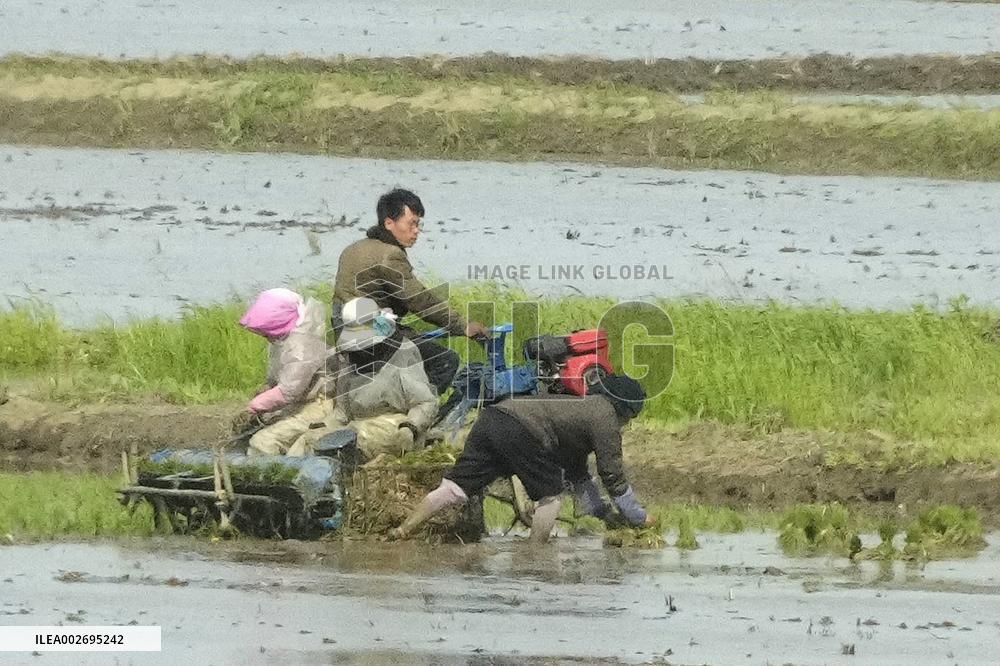 North Korean farmers