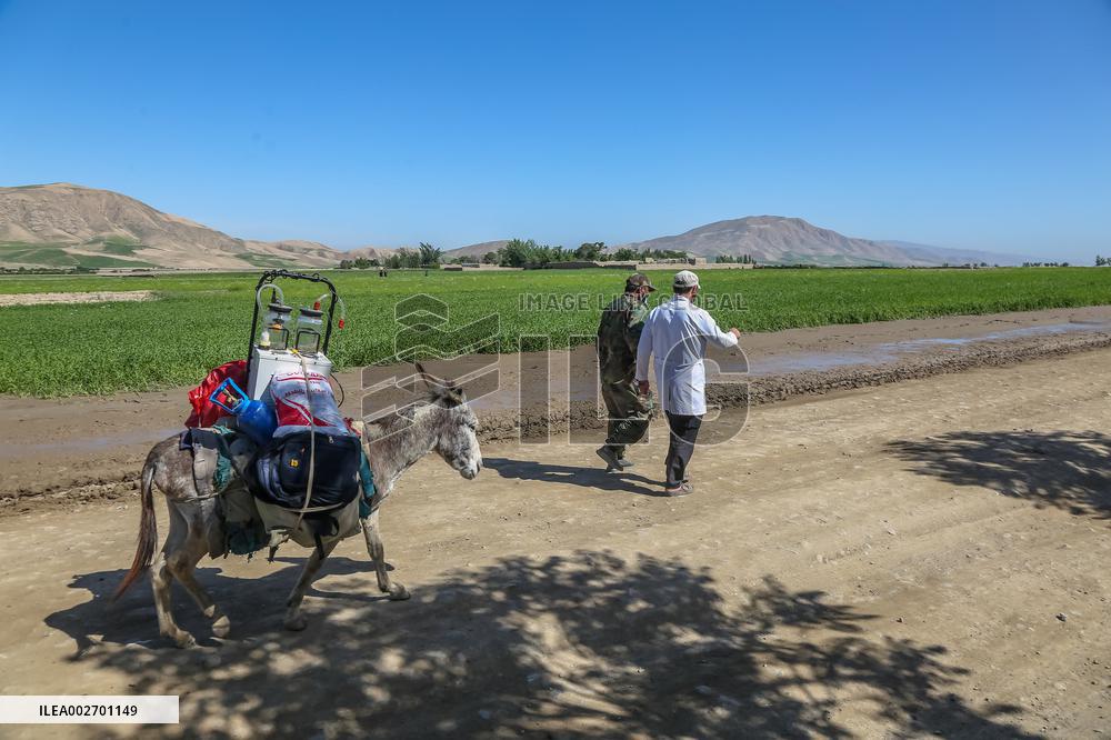 Afghan Floods Leave More Than 300 Dead