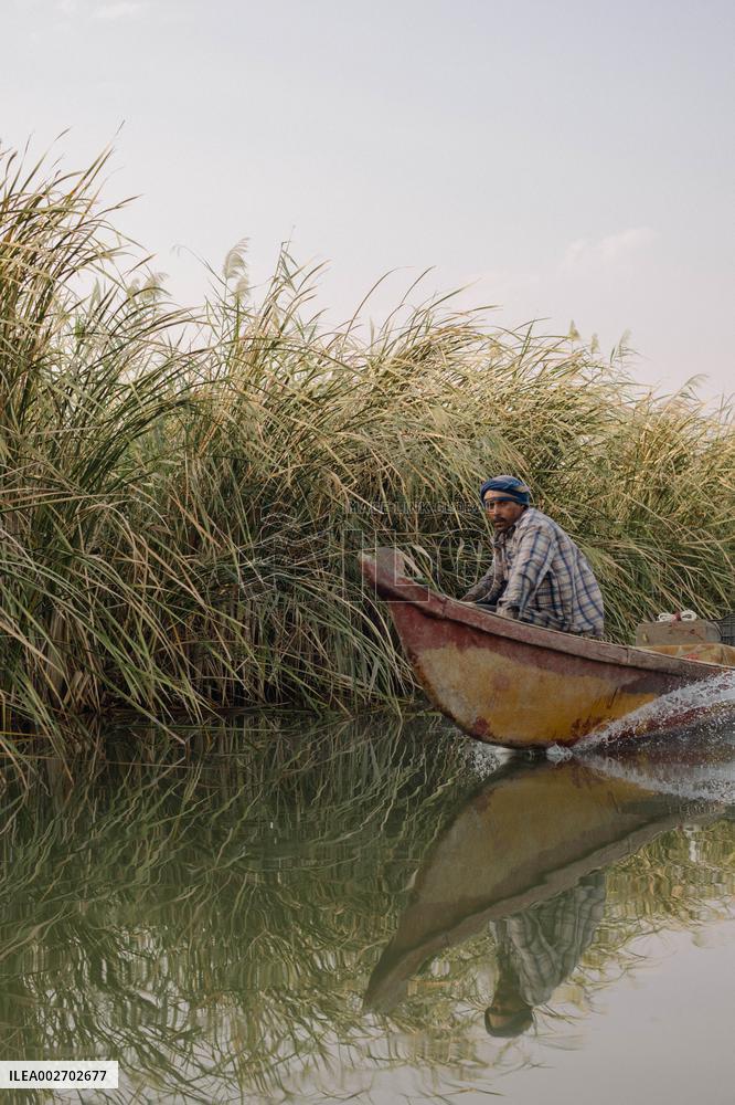 The Marsh Arabs - Iraq