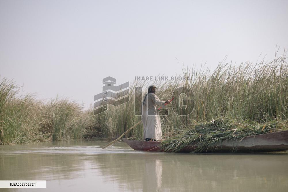 The Marsh Arabs - Iraq