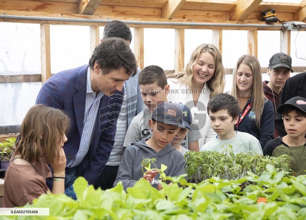 Prime Minister Justin Trudeau Transplants Tomato  - Canada
