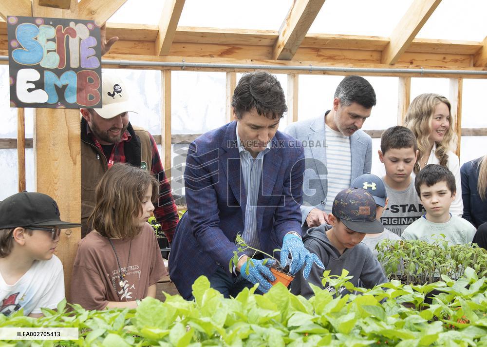 Prime Minister Justin Trudeau Transplants Tomato  - Canada