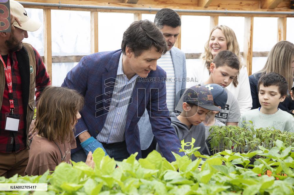 Prime Minister Justin Trudeau Transplants Tomato  - Canada