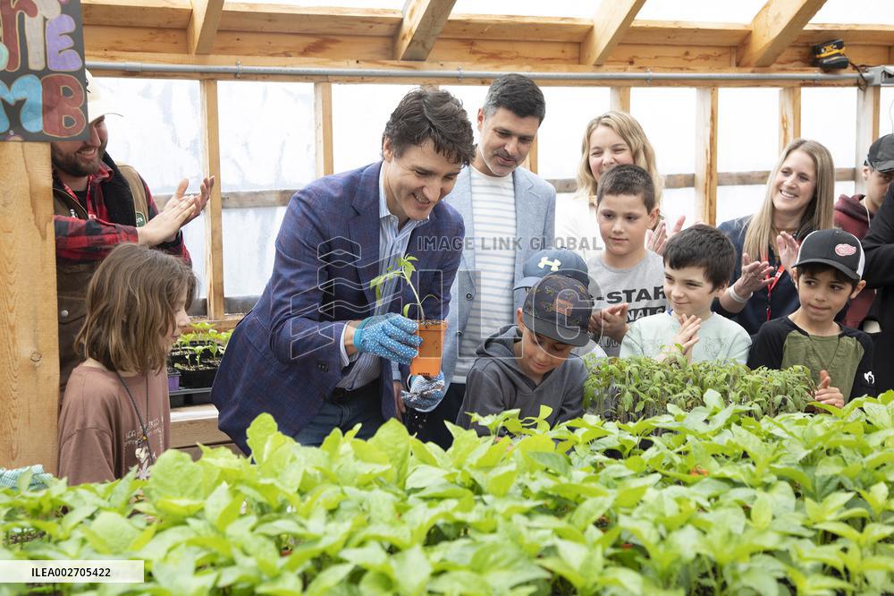 Prime Minister Justin Trudeau Transplants Tomato  - Canada