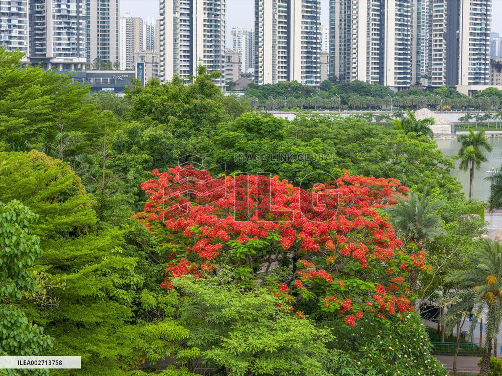 Urban Real Estate Buildings in Nanning