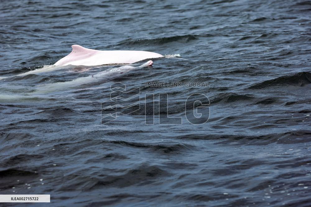 XINHUA PHOTOS OF THE DAY