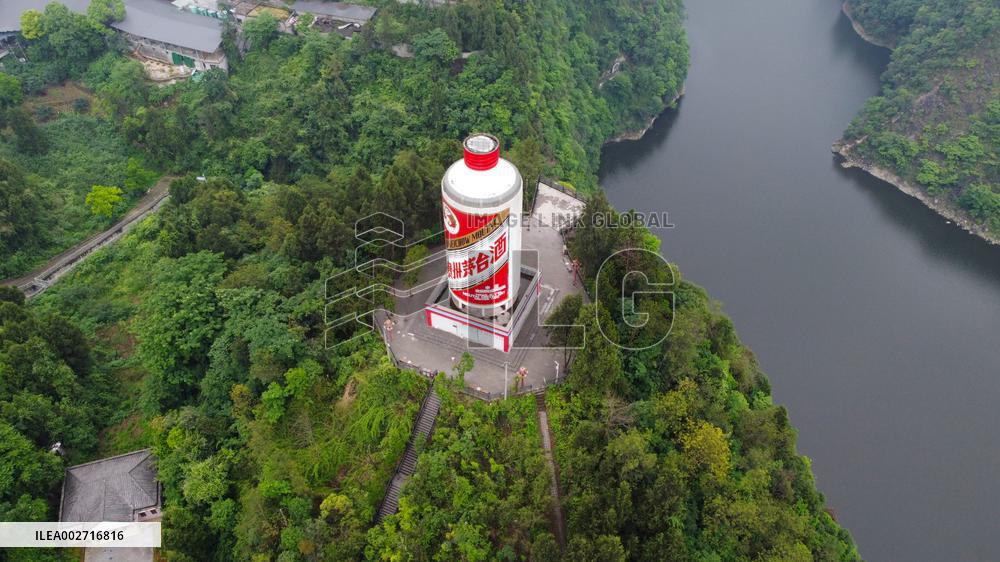 Giant Moutai Bottle