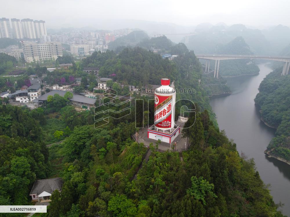 Giant Moutai Bottle