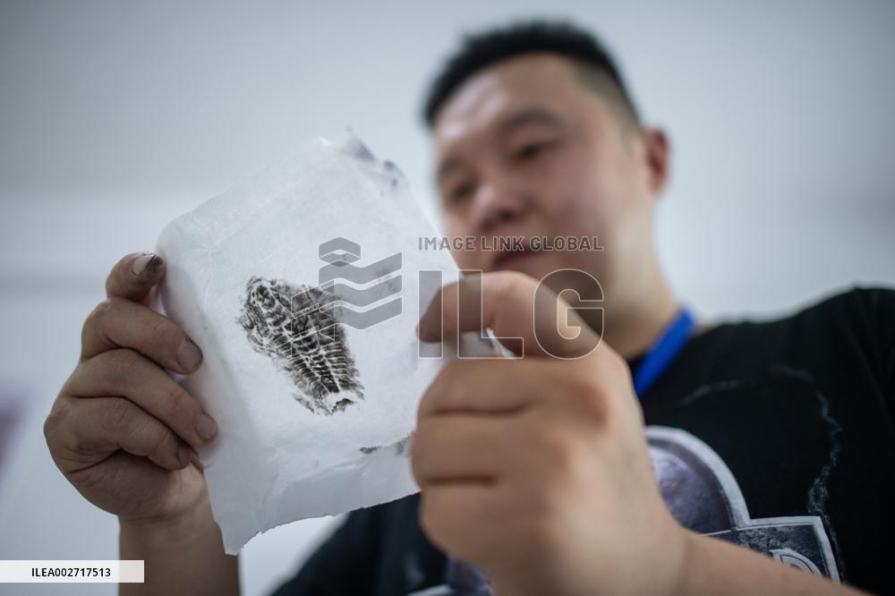 ChineseToday | Dinosaur egg fossils restorer: discovering mysteries of paleontological life