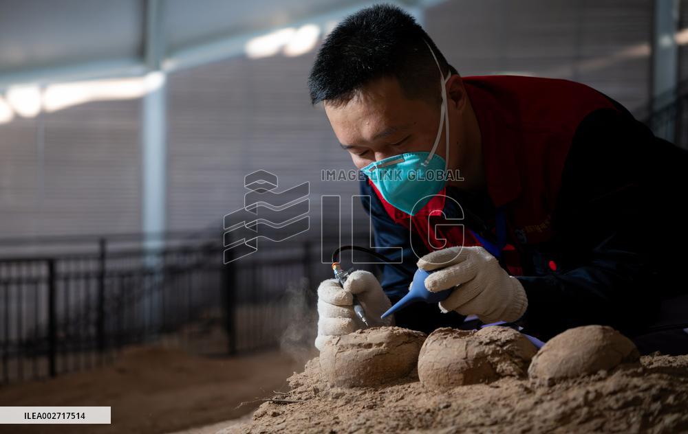 ChineseToday | Dinosaur egg fossils restorer: discovering mysteries of paleontological life