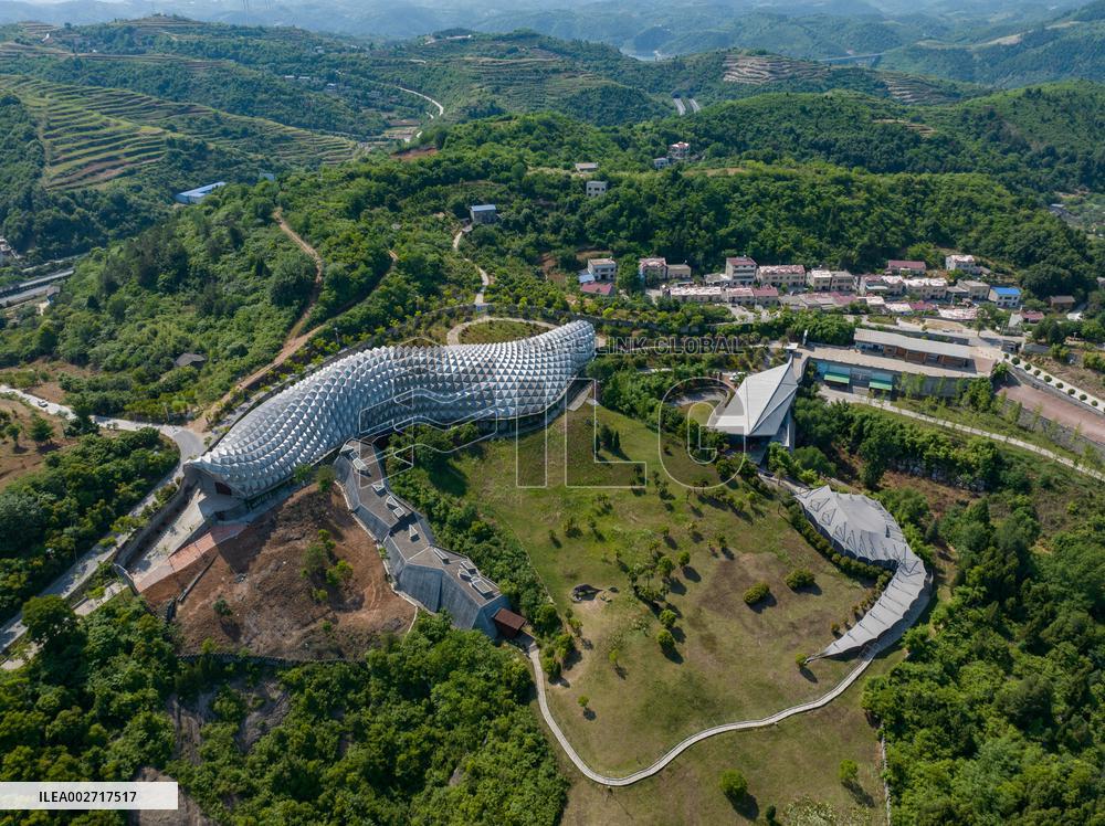 ChineseToday | Dinosaur egg fossils restorer: discovering mysteries of paleontological life