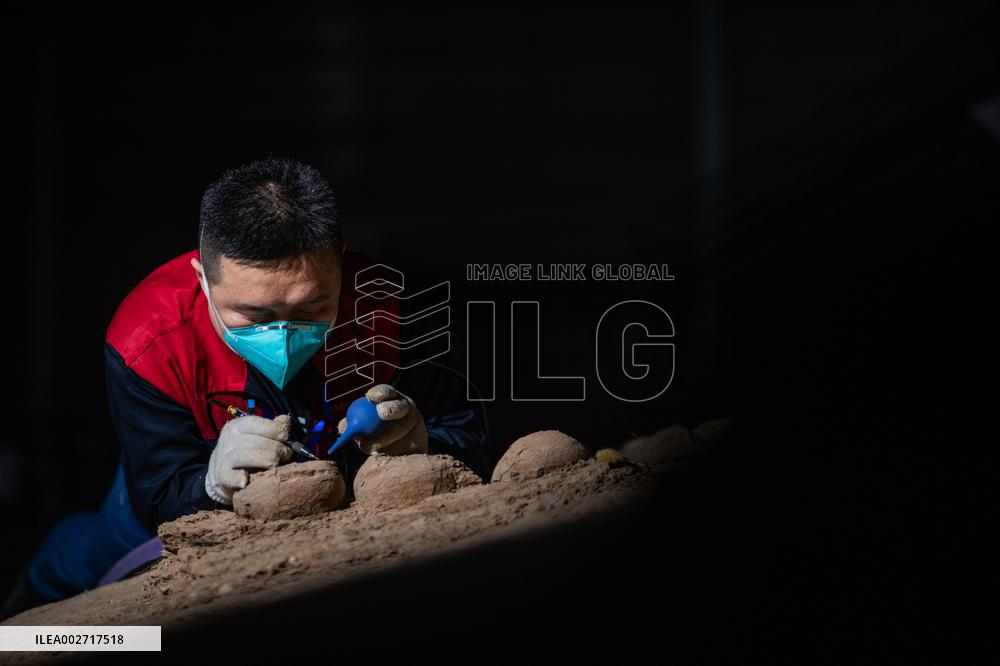 ChineseToday | Dinosaur egg fossils restorer: discovering mysteries of paleontological life