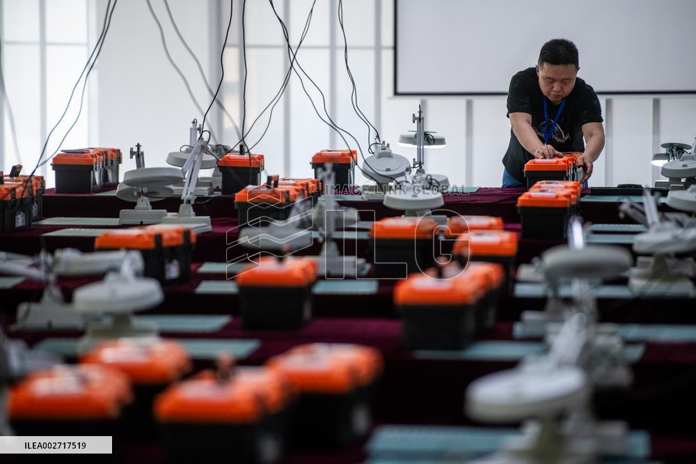 ChineseToday | Dinosaur egg fossils restorer: discovering mysteries of paleontological life