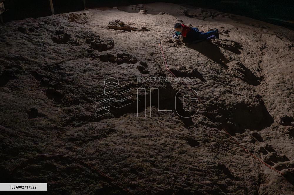 ChineseToday | Dinosaur egg fossils restorer: discovering mysteries of paleontological life