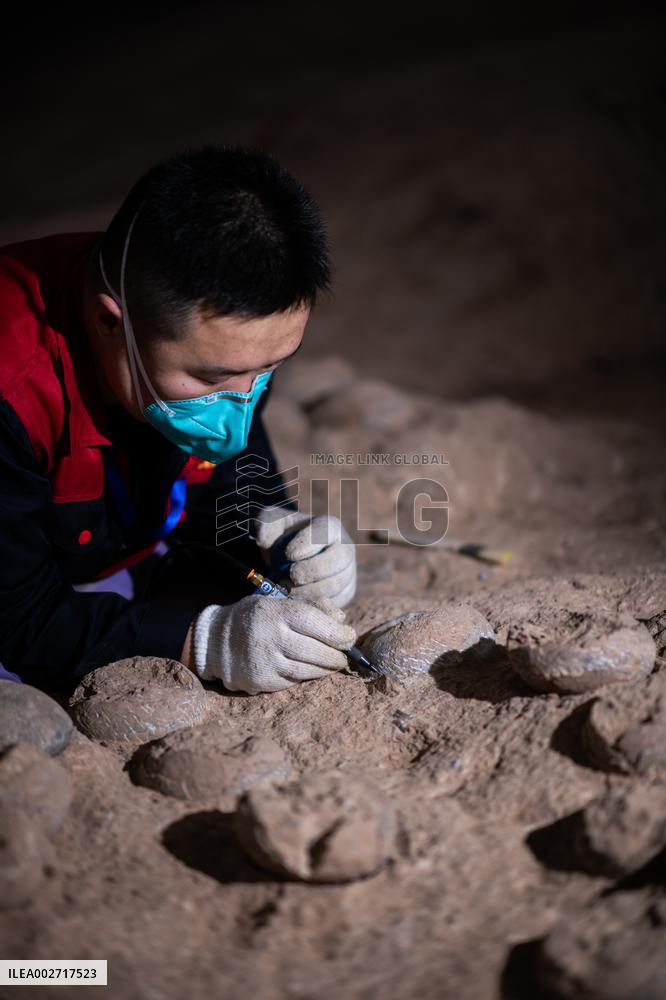 ChineseToday | Dinosaur egg fossils restorer: discovering mysteries of paleontological life