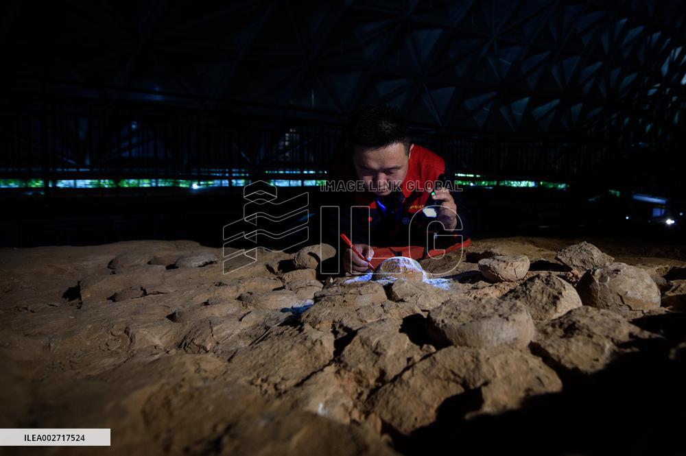 ChineseToday | Dinosaur egg fossils restorer: discovering mysteries of paleontological life