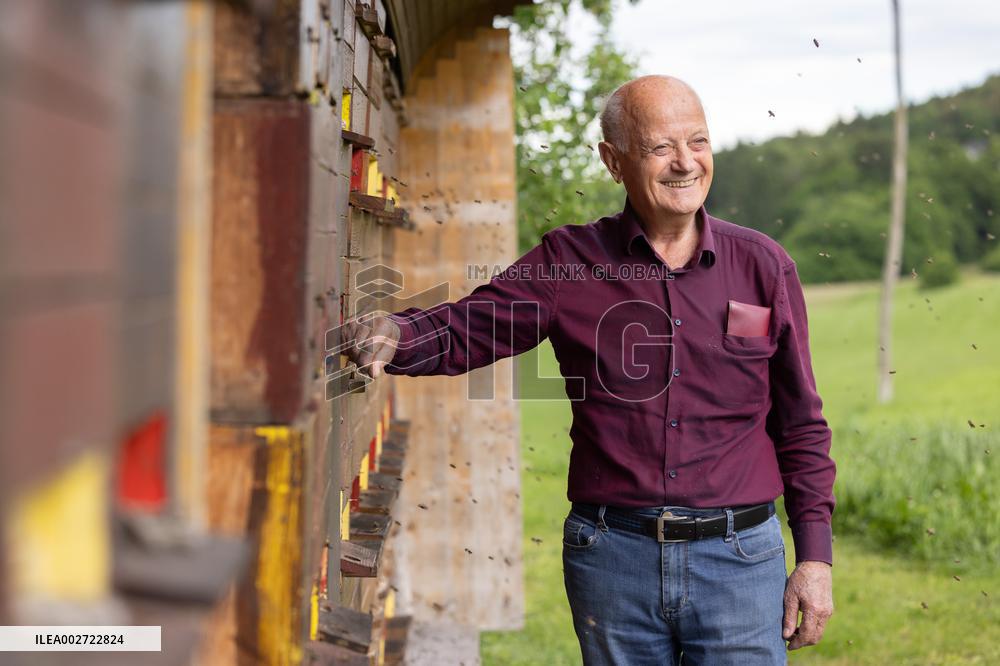 SLOVENIA-PONOVA VAS-BEEKEEPING