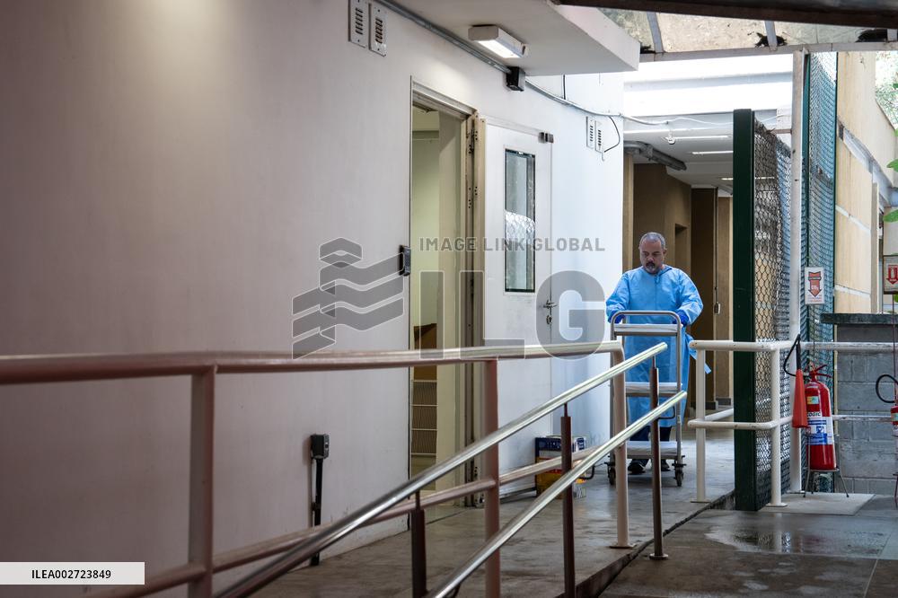 BRAZIL-RIO DE JANEIRO-FIOCRUZ-AEDES AEGYPTI MOSQUITOES-WOLBACHIA