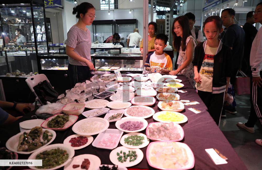 12th China (Hunan) International Mineral and Gemstone Expo
