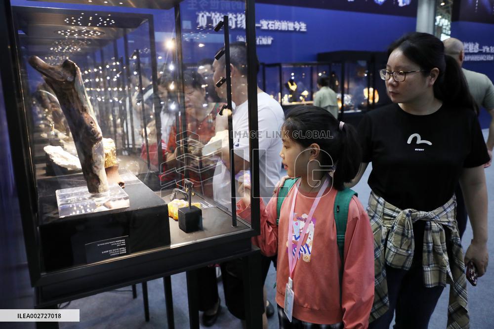 12th China (Hunan) International Mineral and Gemstone Expo