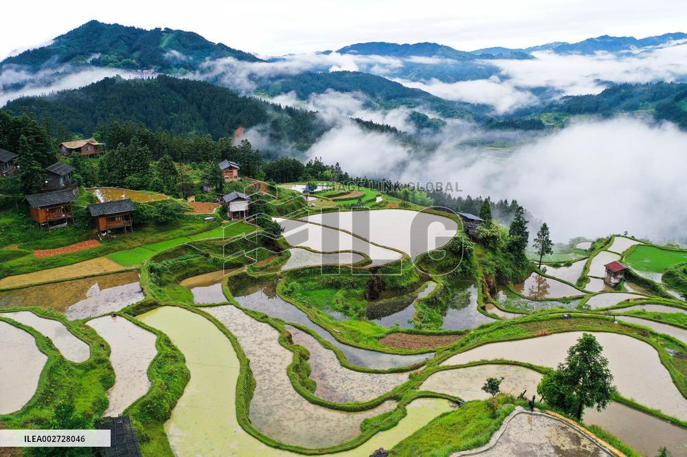 CHINA-GUIZHOU-TERRACE (CN)