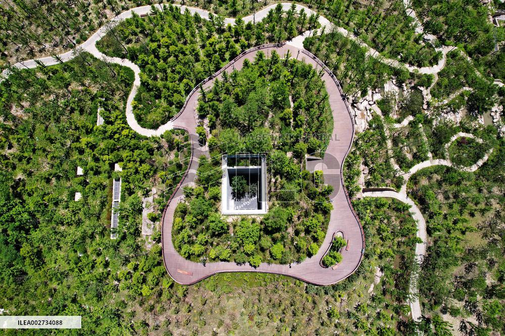 Artificial Imitation Natural Mountains in Shanghai