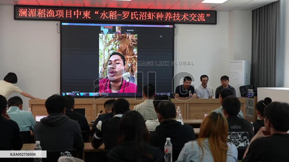 Chinese university helps Mekong River countries through rice-fish co-culture