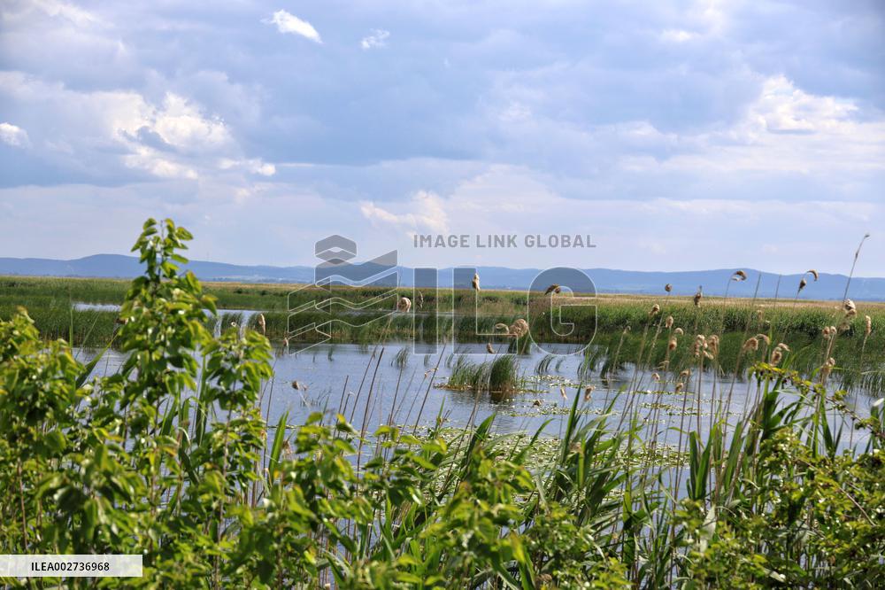 Lake Kuhurlui in Odesa region