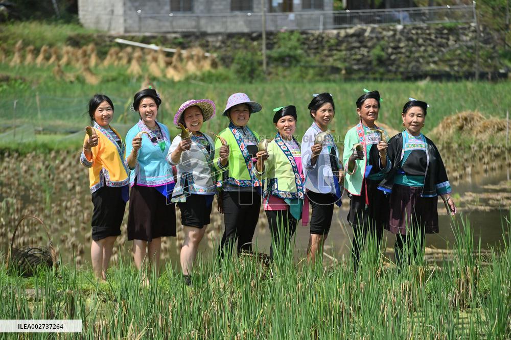 (EnchantingGuangxi)CHINA-GUANGXI-VILLAGE-ETHNIC YOUTH-ENTREPRENEUR (CN)