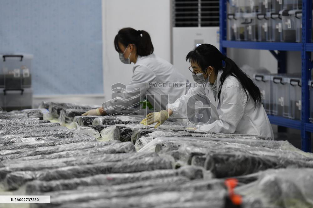 CHINA-ANHUI-WUWANGDUN TOMB-EXCAVATION-PROGRESS (CN)