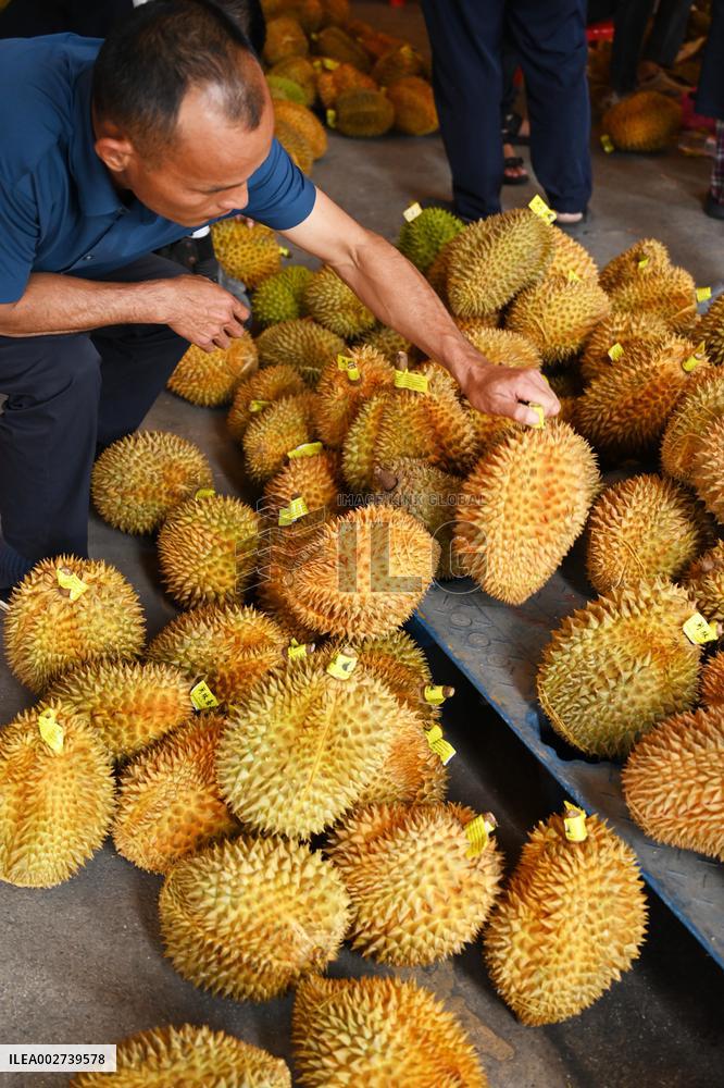 Citizens Buy Thailand Durian in Nanning