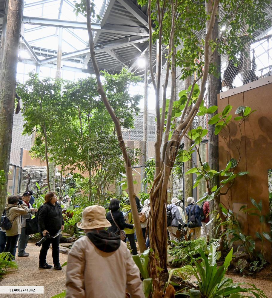 New facility for orangutans at northern Japan zoo