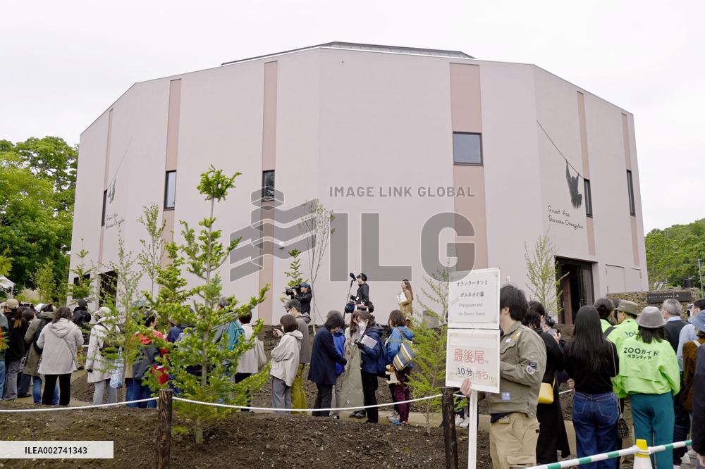 New facility for orangutans at northern Japan zoo