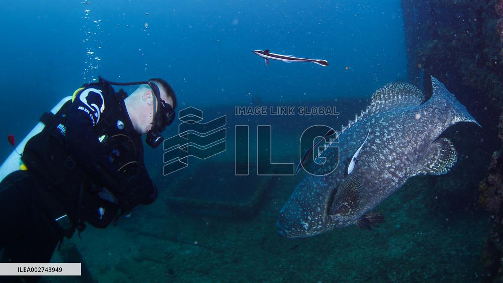 CHINA-HAINAN-SANYA-MARINE RANCH-DEVELOPMENT (CN)