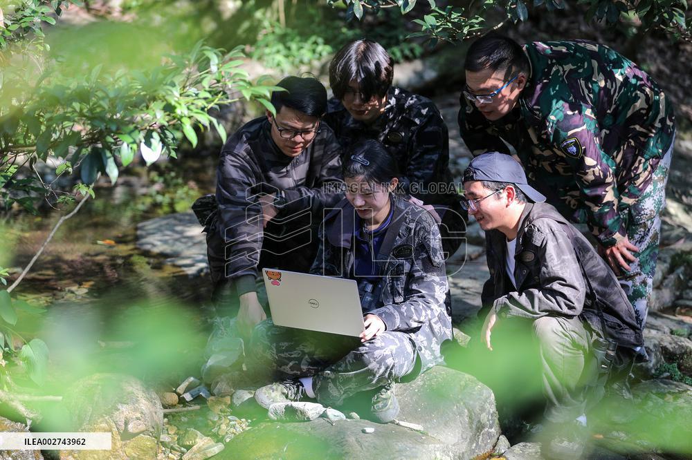 AmazingAnhui | Primate research team of Anhui University protects unique species in Huangshan