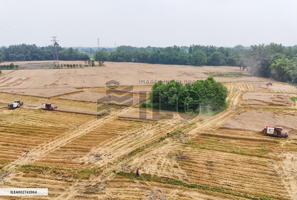 ChineseToday | Young farmer uses modern technology to empower traditional agriculture in SW China
