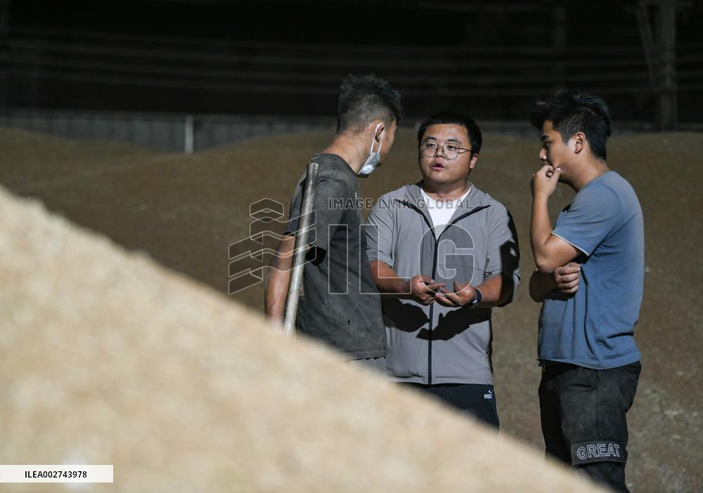 ChineseToday | Young farmer uses modern technology to empower traditional agriculture in SW China