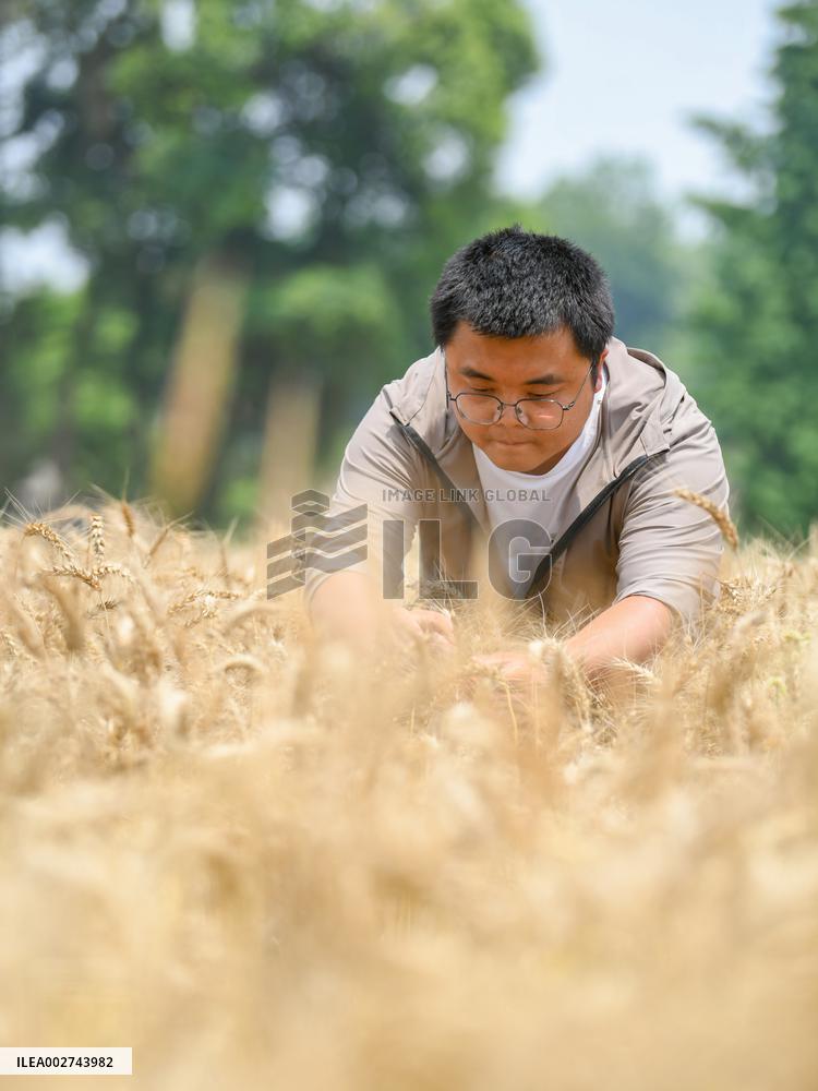 ChineseToday | Young farmer uses modern technology to empower traditional agriculture in SW China