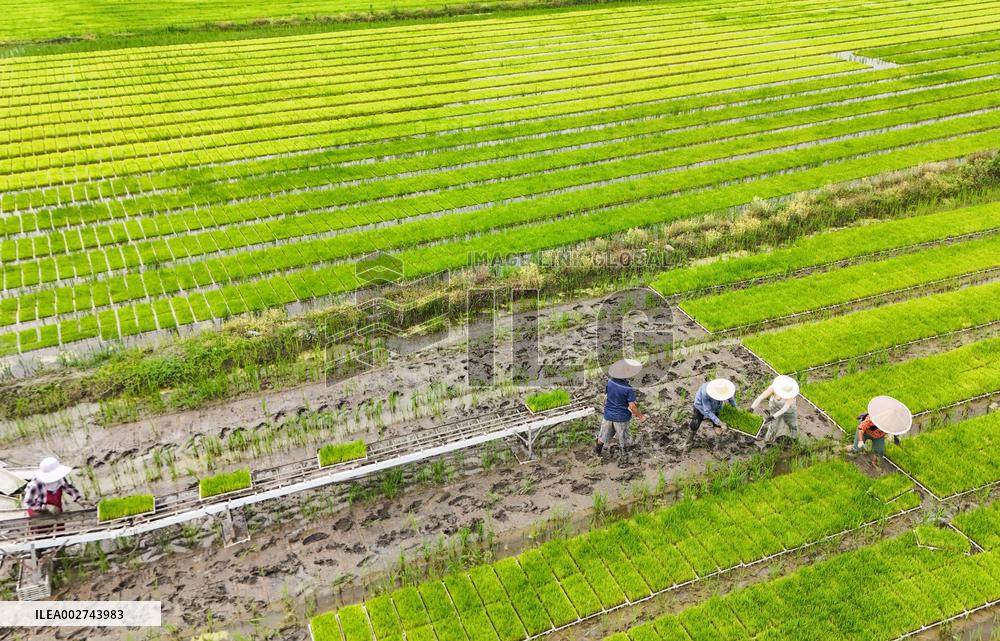 ChineseToday | Young farmer uses modern technology to empower traditional agriculture in SW China